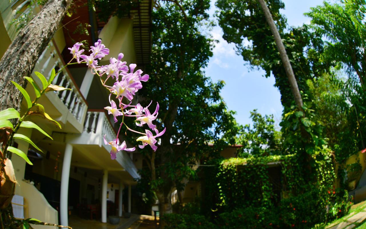 Sea Breeze Guest House Unawatuna Exterior photo